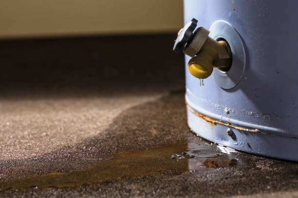 Best 24/7 water damage repair  in Lakeport, CA