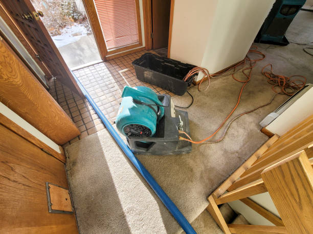 Best Basement water damage restoration  in Lakeport, CA