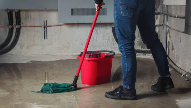 Best Mold removal after water damage  in Lakeport, CA