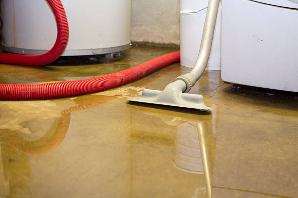Best Ceiling water damage repair  in Lakeport, CA