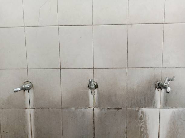Best Water damage contractors near me  in Lakeport, CA
