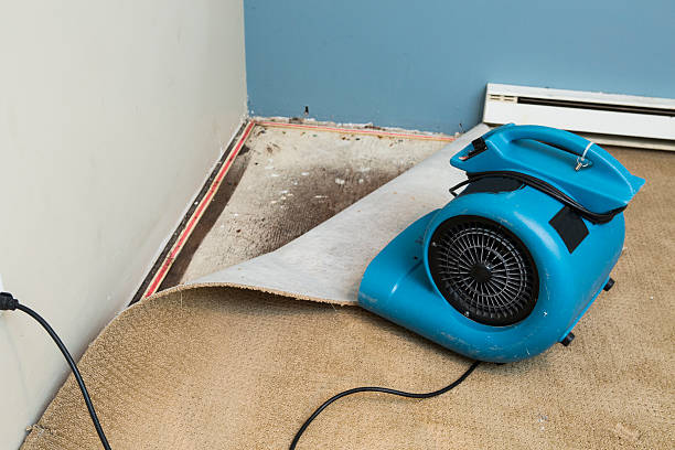 Best Professional water damage repair  in Lakeport, CA